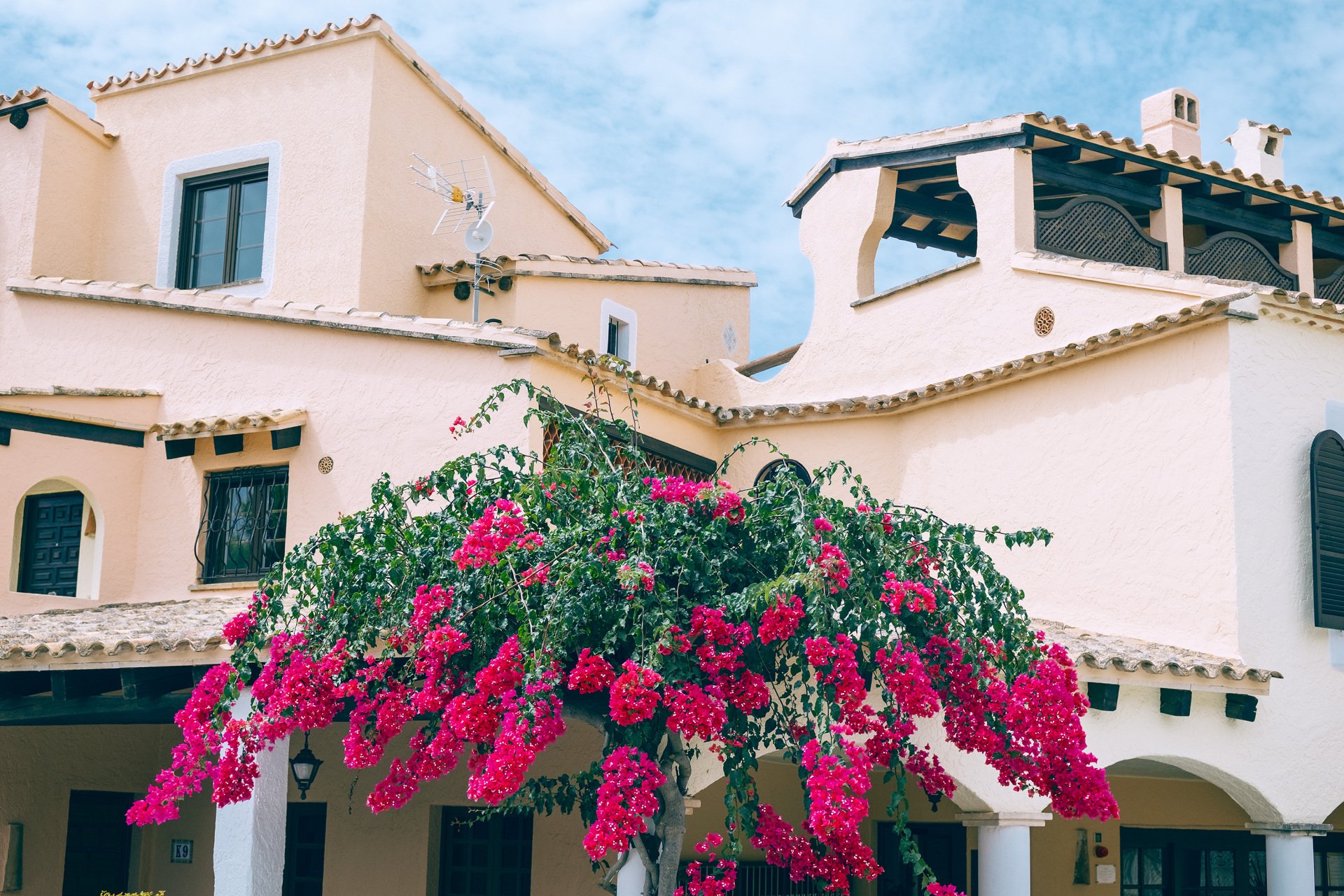 Edificio de fachadas claras con tejados de teja, porches con arcos, una terraza cubierta y abundantes flores fucsias en primer plano.